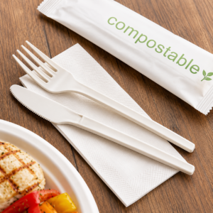Compostable Cutlery Set